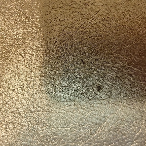 Coach - Picture 6 of 6